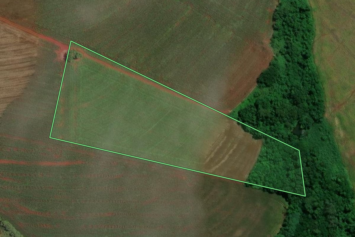 Imagem de satélite do imóvel rural em Maripá (PR), com o contorno declarado no CAR desenhado por cima.