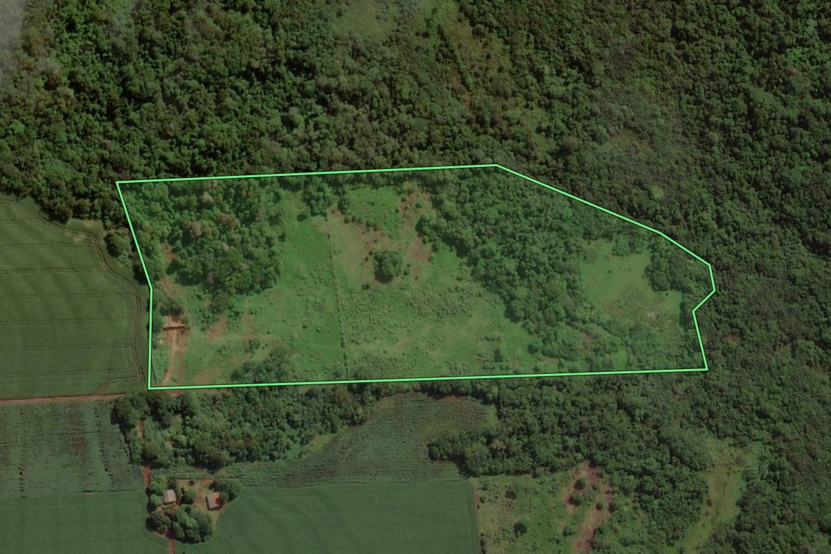 Imagem de satélite do imóvel rural em Maripá (PR), com o contorno declarado no CAR desenhado por cima.