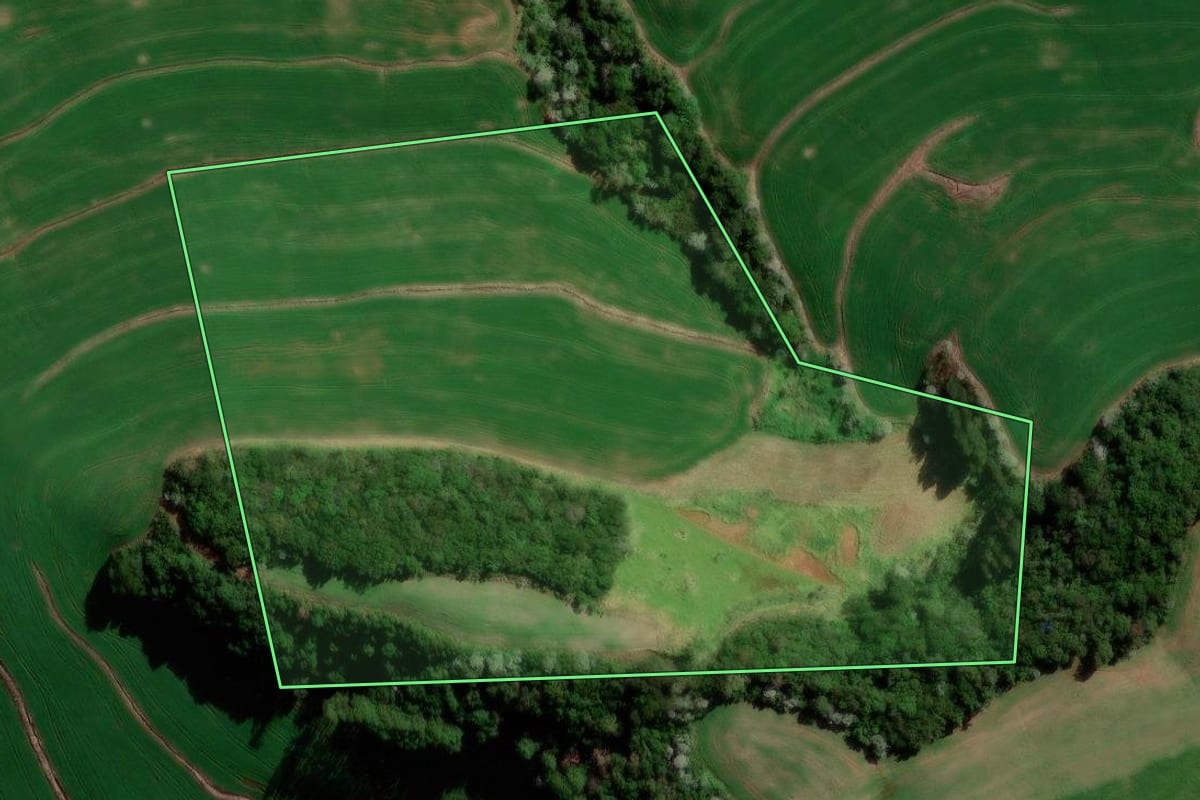 Imagem de satélite do imóvel rural em Marmeleiro (PR), com o contorno declarado no CAR desenhado por cima.