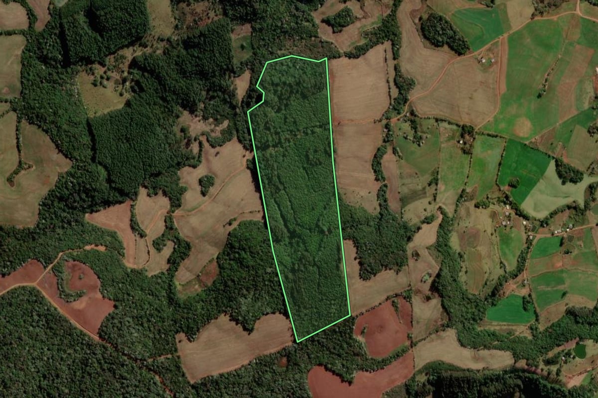 Imagem de satélite do imóvel rural em Marmeleiro (PR), com o contorno declarado no CAR desenhado por cima.