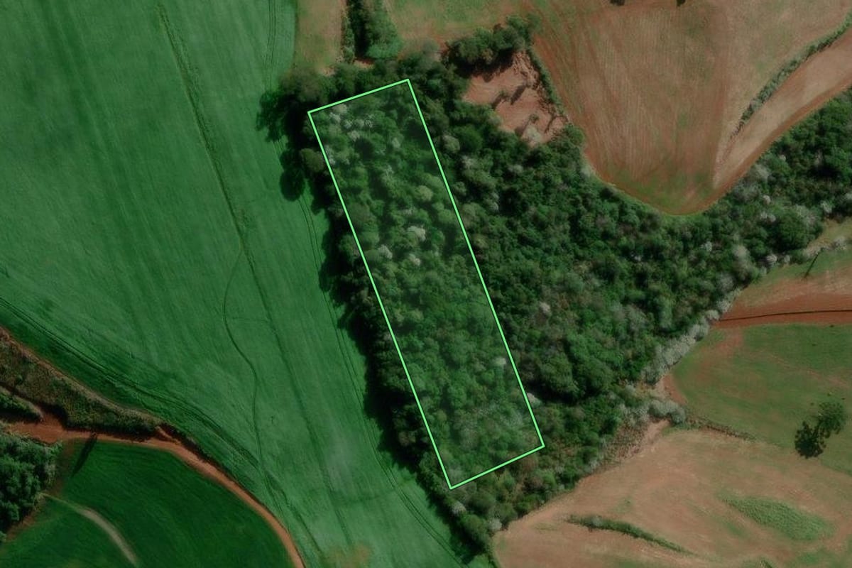Imagem de satélite do imóvel rural em Marmeleiro (PR), com o contorno declarado no CAR desenhado por cima.