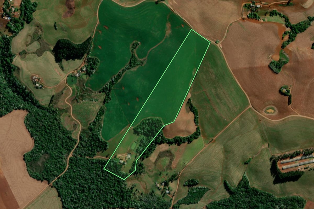 Imagem de satélite do imóvel rural em Marmeleiro (PR), com o contorno declarado no CAR desenhado por cima.