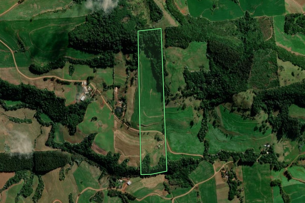 Imagem de satélite do imóvel rural em Marmeleiro (PR), com o contorno declarado no CAR desenhado por cima.