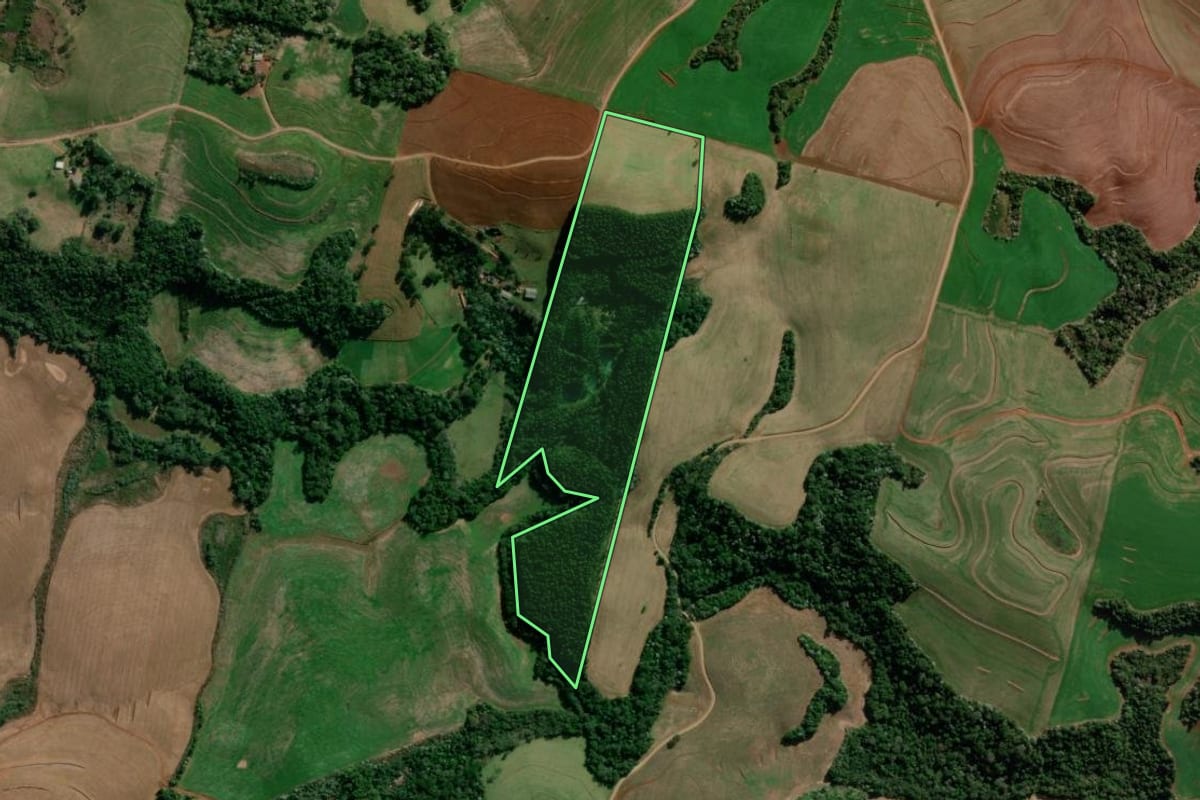 Imagem de satélite do imóvel rural em Marmeleiro (PR), com o contorno declarado no CAR desenhado por cima.