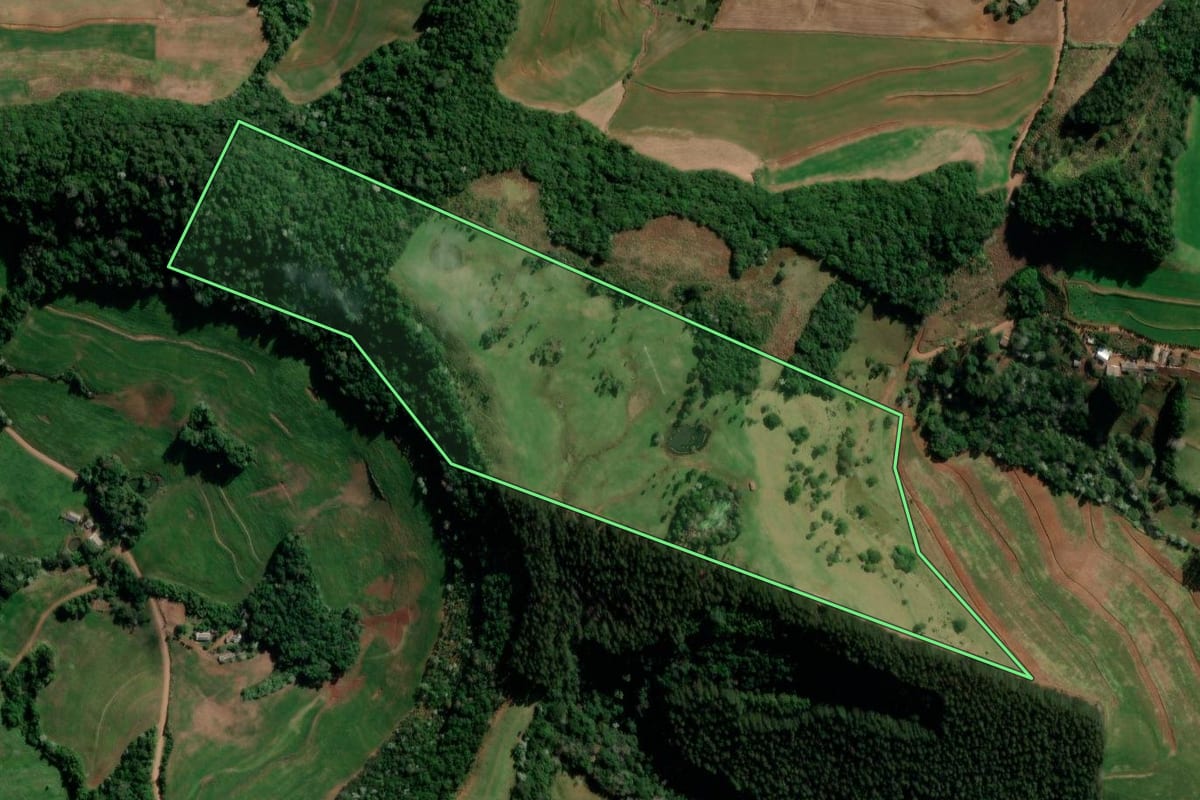 Imagem de satélite do imóvel rural em Marmeleiro (PR), com o contorno declarado no CAR desenhado por cima.