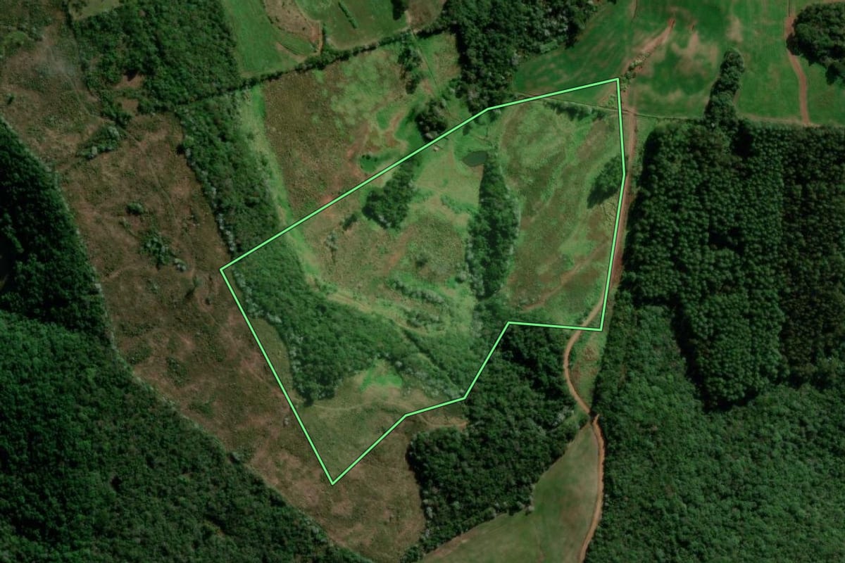 Imagem de satélite do imóvel rural em Marmeleiro (PR), com o contorno declarado no CAR desenhado por cima.