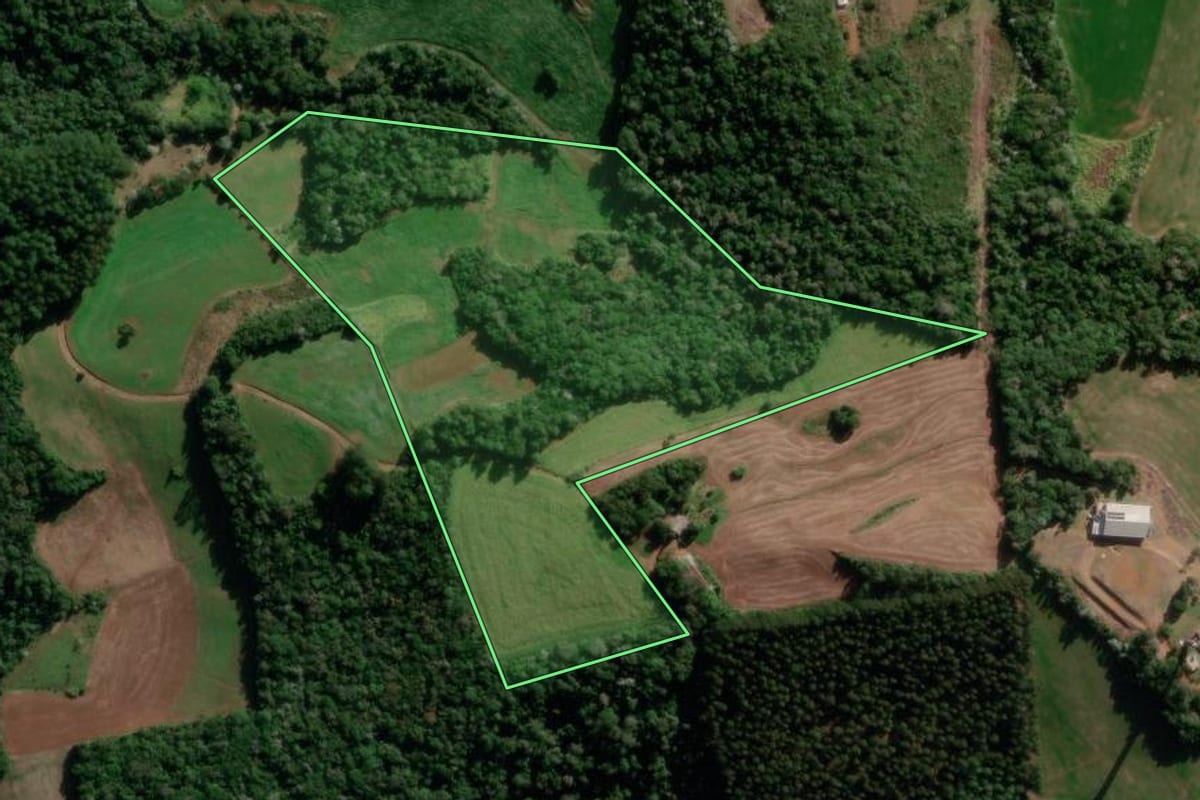 Imagem de satélite do imóvel rural em Marmeleiro (PR), com o contorno declarado no CAR desenhado por cima.