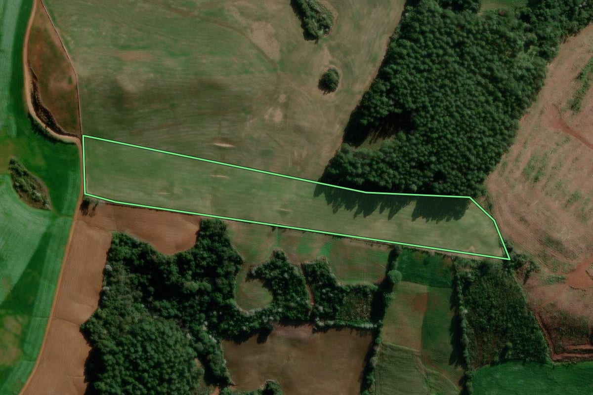Imagem de satélite do imóvel rural em Marmeleiro (PR), com o contorno declarado no CAR desenhado por cima.