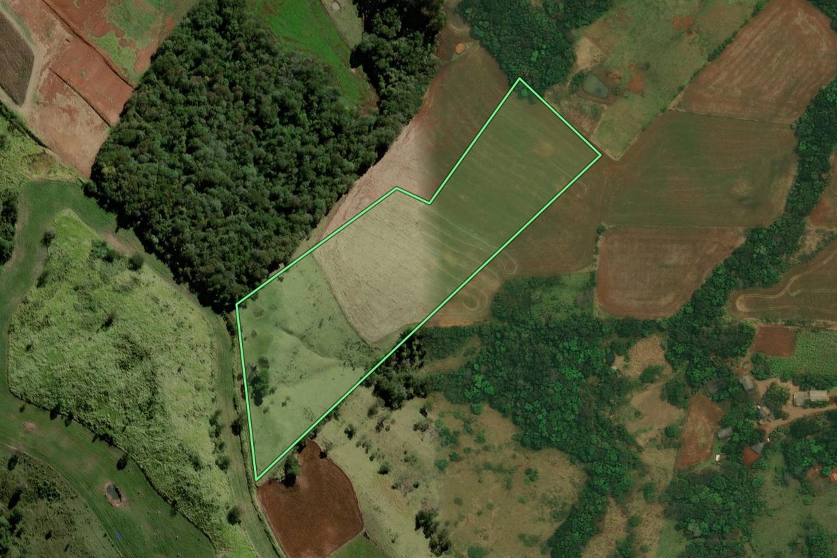 Imagem de satélite do imóvel rural em Marquinho (PR), com o contorno declarado no CAR desenhado por cima.