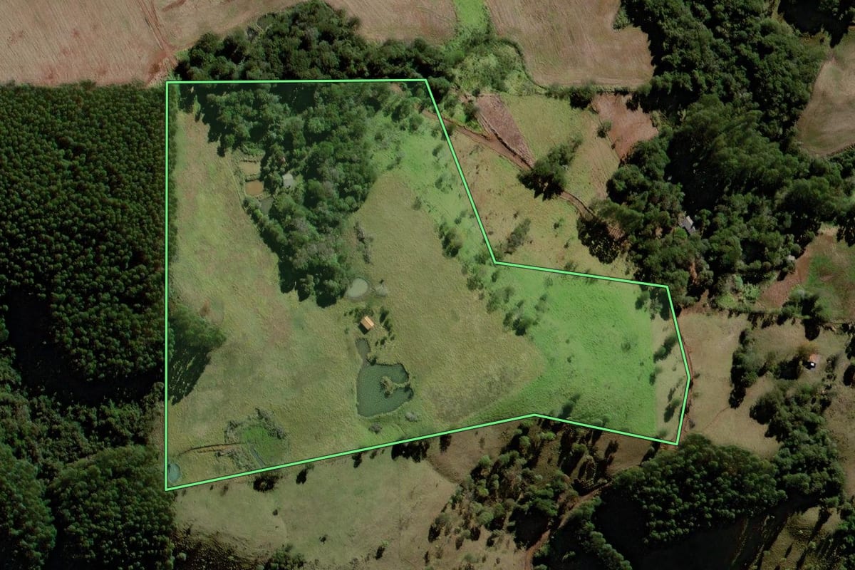 Imagem de satélite do imóvel rural em Marquinho (PR), com o contorno declarado no CAR desenhado por cima.