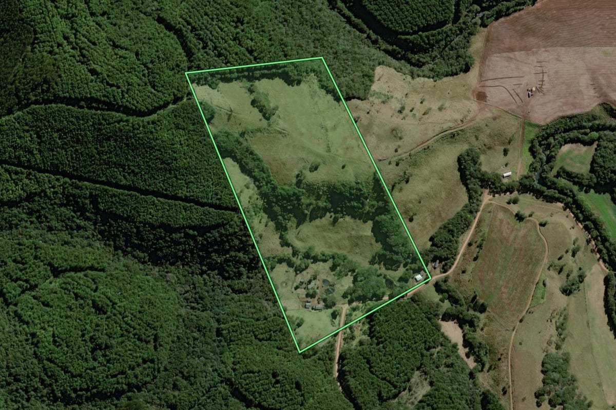 Imagem de satélite do imóvel rural em Marquinho (PR), com o contorno declarado no CAR desenhado por cima.