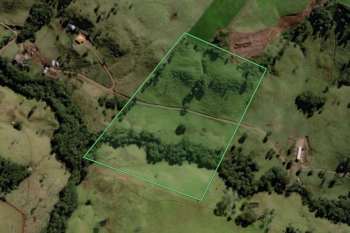Imagem de satélite do imóvel rural em Marquinho (PR), com o contorno declarado no CAR desenhado por cima.
