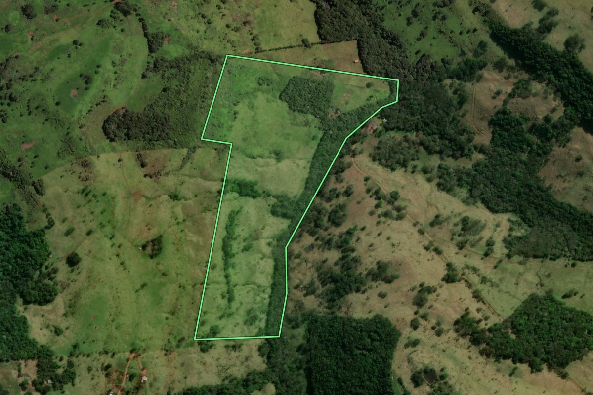 Imagem de satélite do imóvel rural em Marquinho (PR), com o contorno declarado no CAR desenhado por cima.