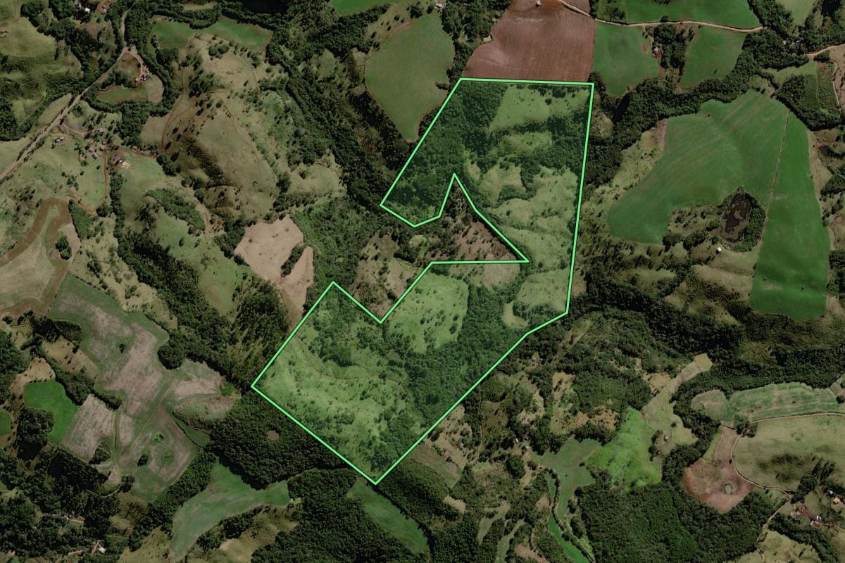 Imagem de satélite do imóvel rural em Marquinho (PR), com o contorno declarado no CAR desenhado por cima.