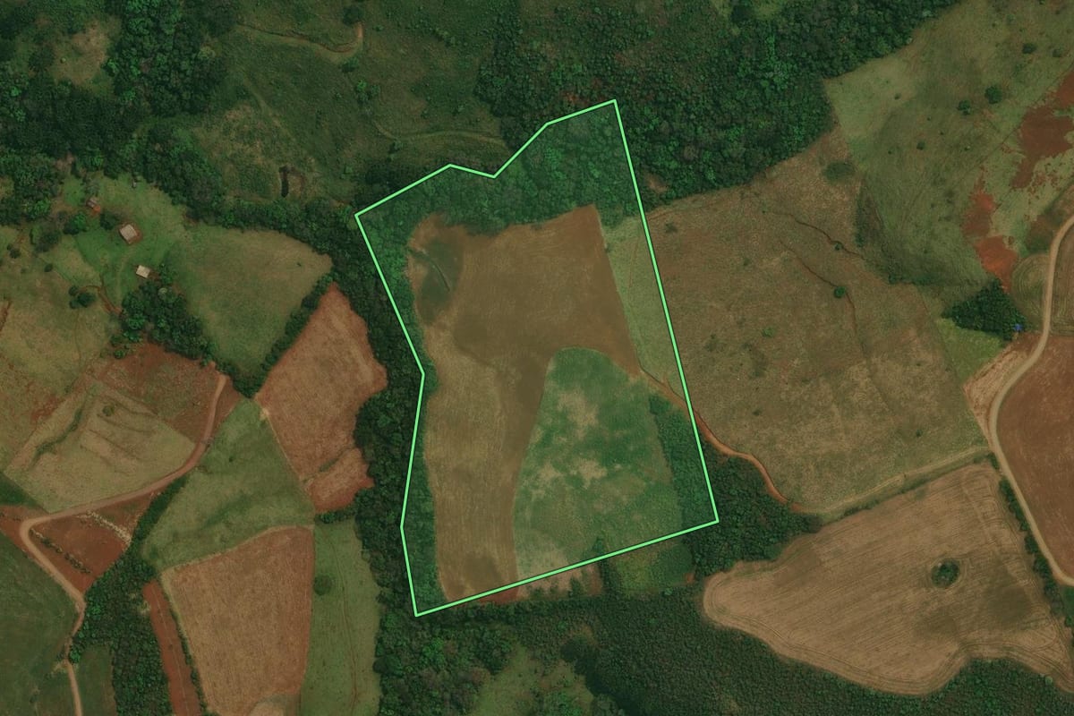Imagem de satélite do imóvel rural em Marquinho (PR), com o contorno declarado no CAR desenhado por cima.