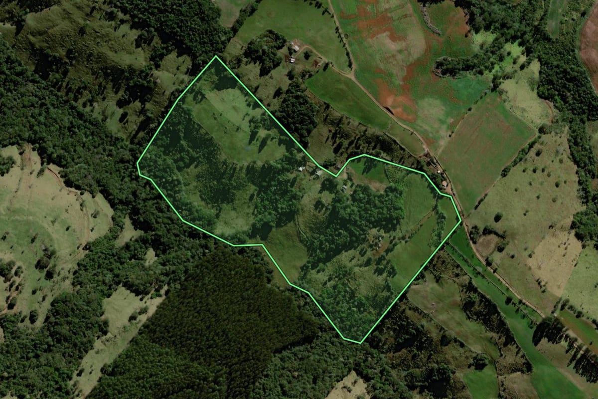 Imagem de satélite do imóvel rural em Marquinho (PR), com o contorno declarado no CAR desenhado por cima.