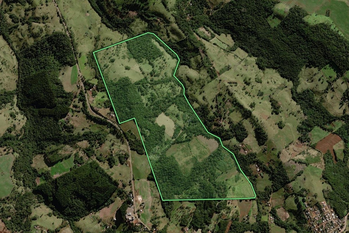 Imagem de satélite do imóvel rural em Marquinho (PR), com o contorno declarado no CAR desenhado por cima.