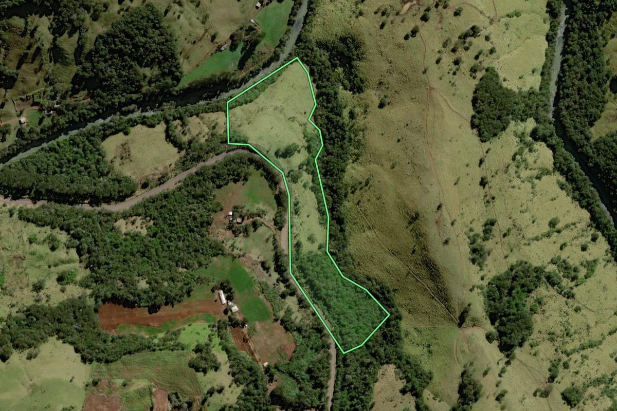 Imagem de satélite do imóvel rural em Marquinho (PR), com o contorno declarado no CAR desenhado por cima.