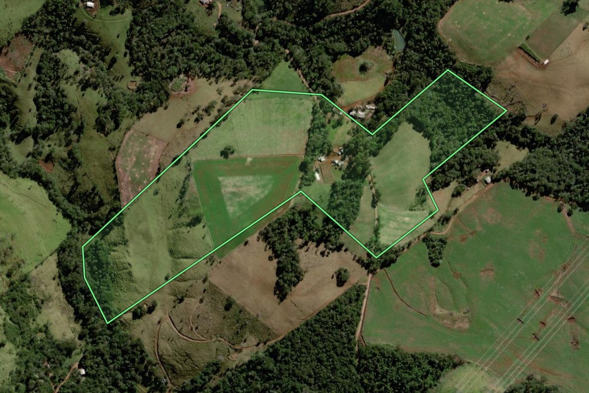 Imagem de satélite do imóvel rural em Marquinho (PR), com o contorno declarado no CAR desenhado por cima.
