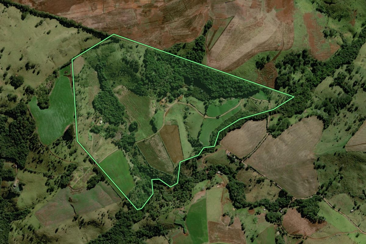 Imagem de satélite do imóvel rural em Marquinho (PR), com o contorno declarado no CAR desenhado por cima.