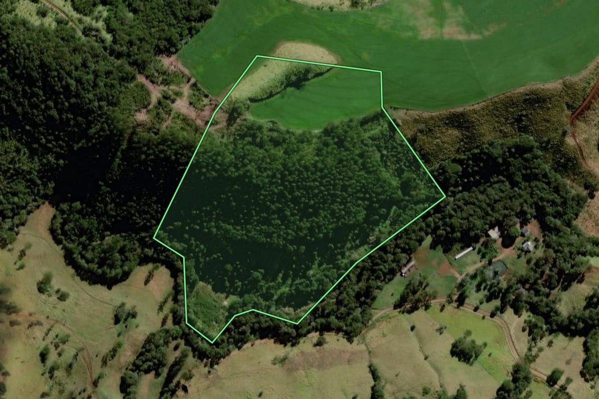 Imagem de satélite do imóvel rural em Marquinho (PR), com o contorno declarado no CAR desenhado por cima.