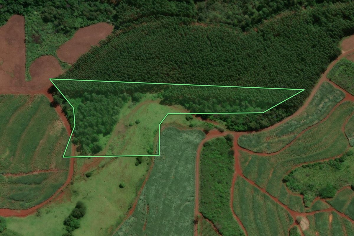 Imagem de satélite do imóvel rural em Marumbi (PR), com o contorno declarado no CAR desenhado por cima.