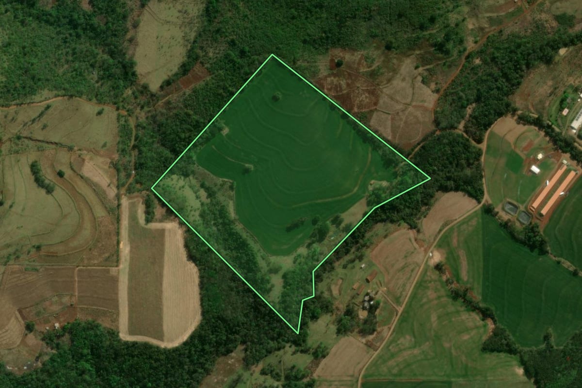 Imagem de satélite do imóvel rural em Matelândia (PR), com o contorno declarado no CAR desenhado por cima.