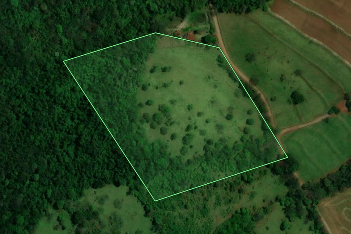 Imagem de satélite do imóvel rural em Matelândia (PR), com o contorno declarado no CAR desenhado por cima.