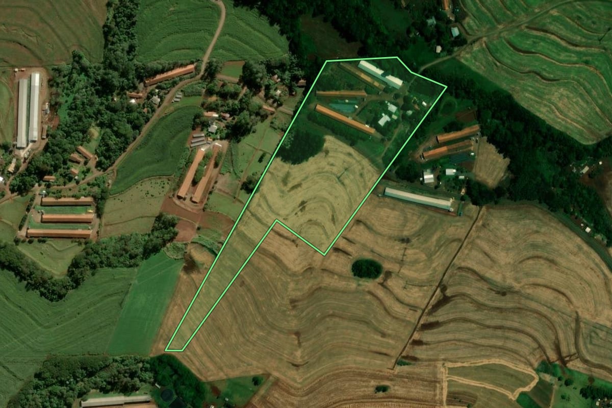 Imagem de satélite do imóvel rural em Matelândia (PR), com o contorno declarado no CAR desenhado por cima.
