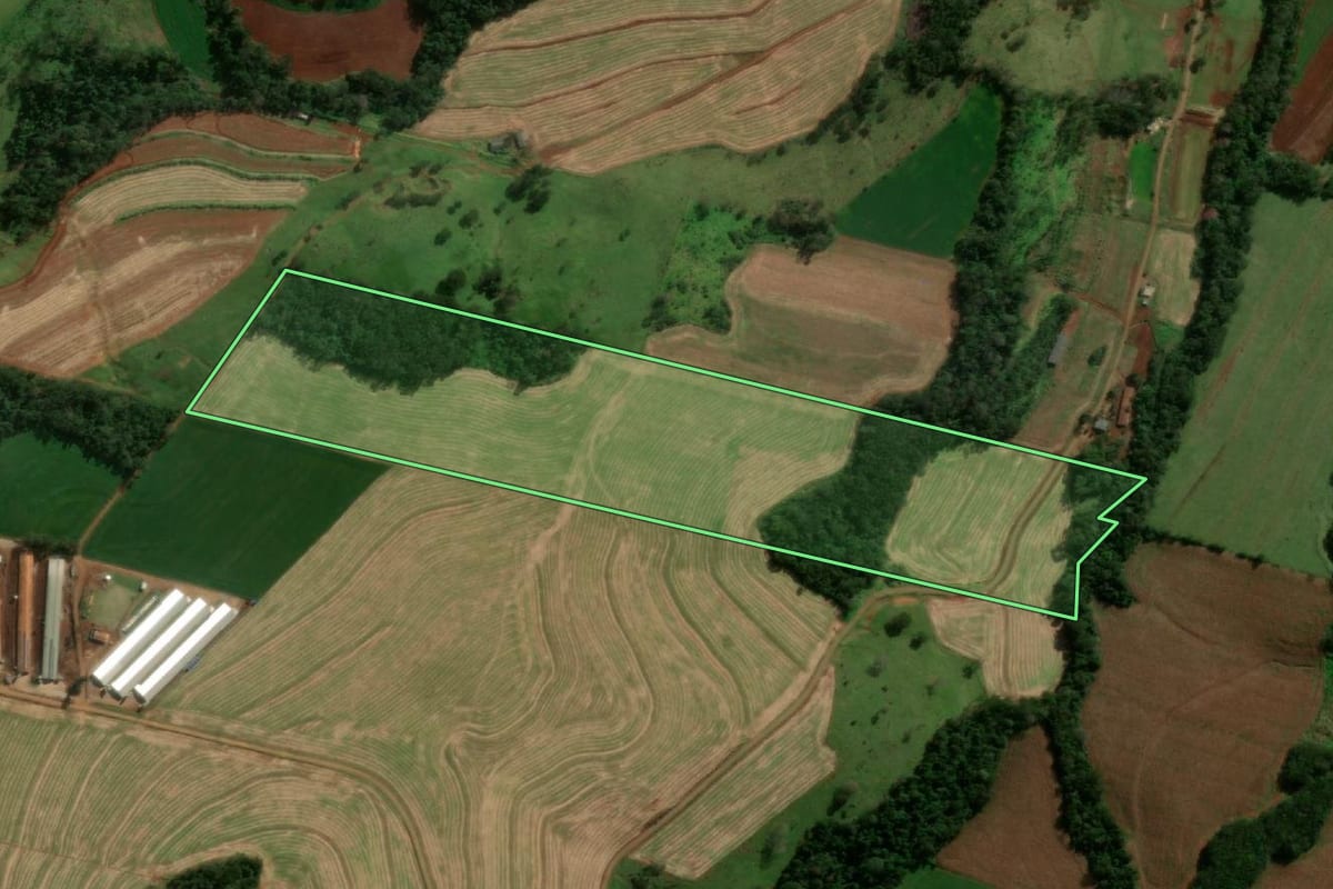 Imagem de satélite do imóvel rural em Matelândia (PR), com o contorno declarado no CAR desenhado por cima.