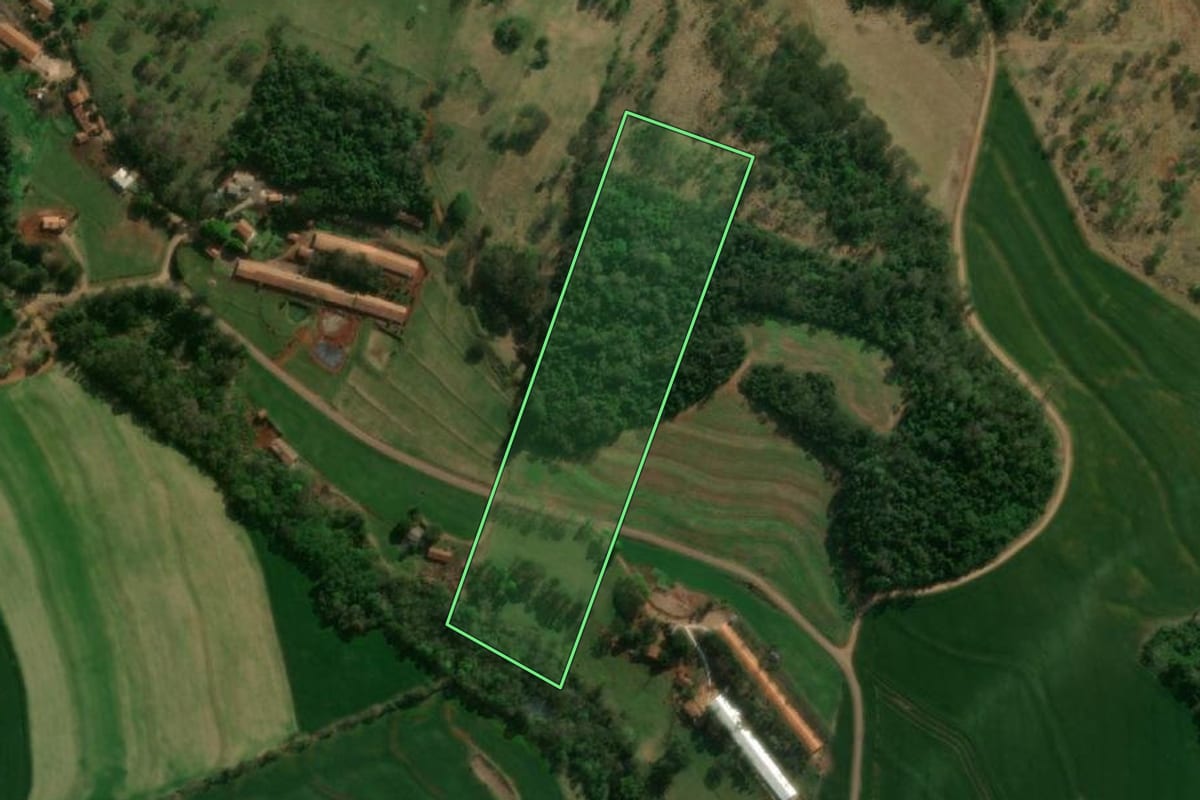Imagem de satélite do imóvel rural em Matelândia (PR), com o contorno declarado no CAR desenhado por cima.