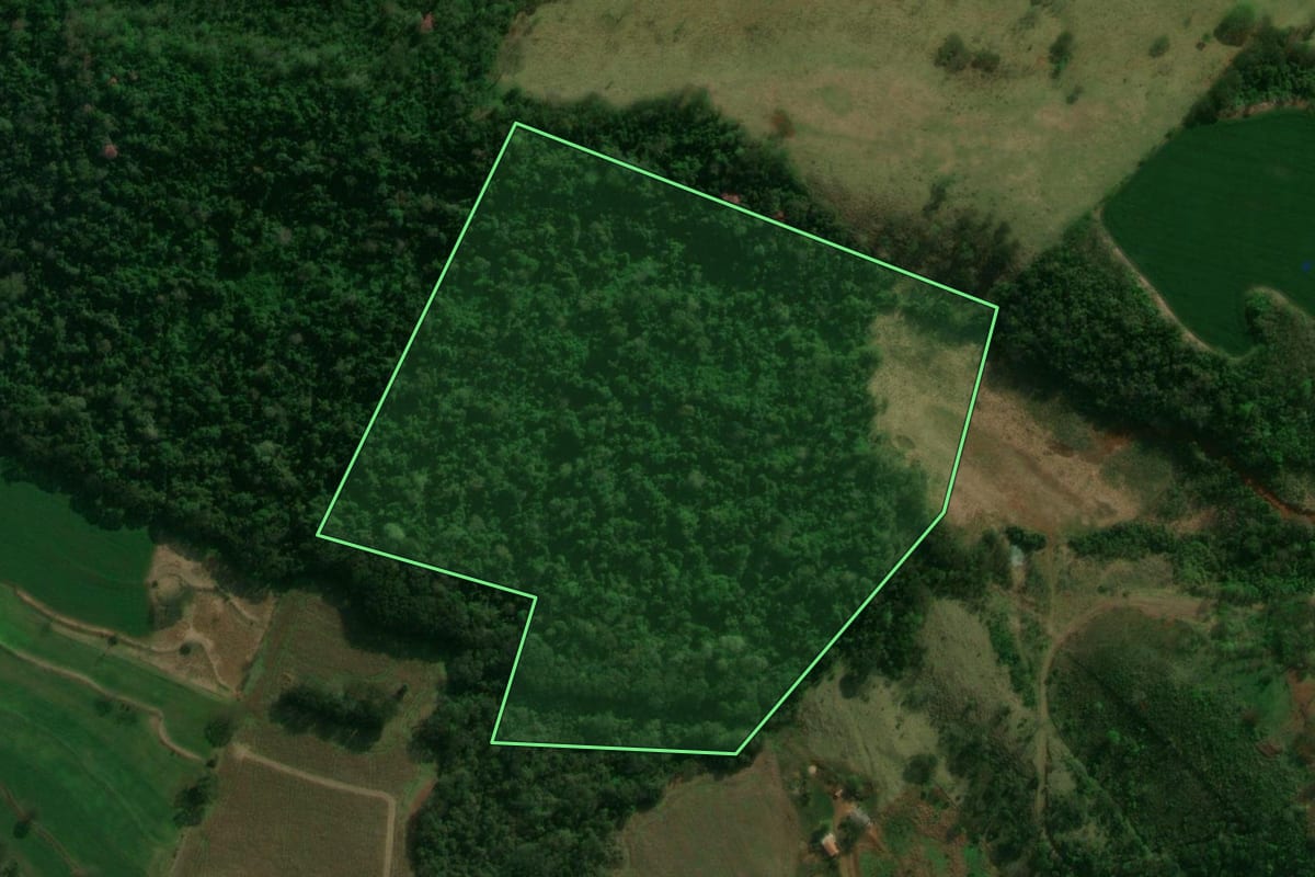 Imagem de satélite do imóvel rural em Matelândia (PR), com o contorno declarado no CAR desenhado por cima.