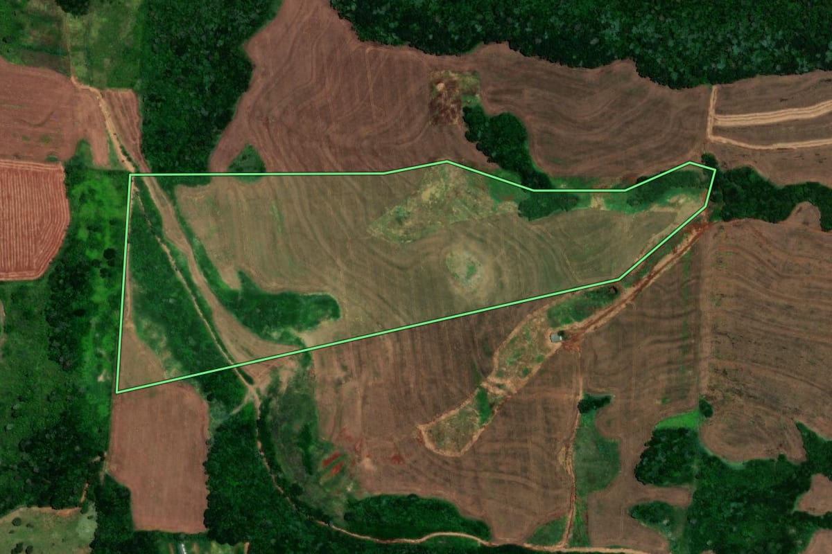 Imagem de satélite do imóvel rural em Matelândia (PR), com o contorno declarado no CAR desenhado por cima.