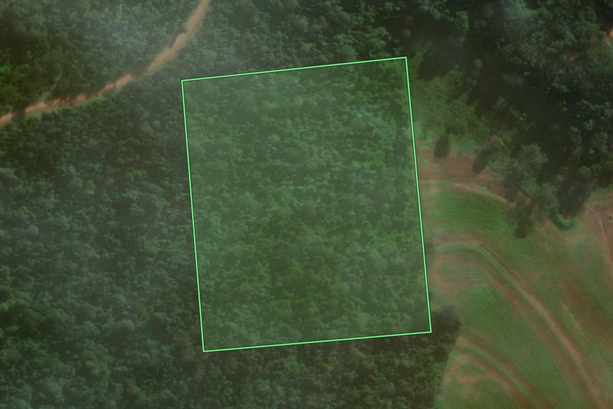 Imagem de satélite do imóvel rural em Matelândia (PR), com o contorno declarado no CAR desenhado por cima.