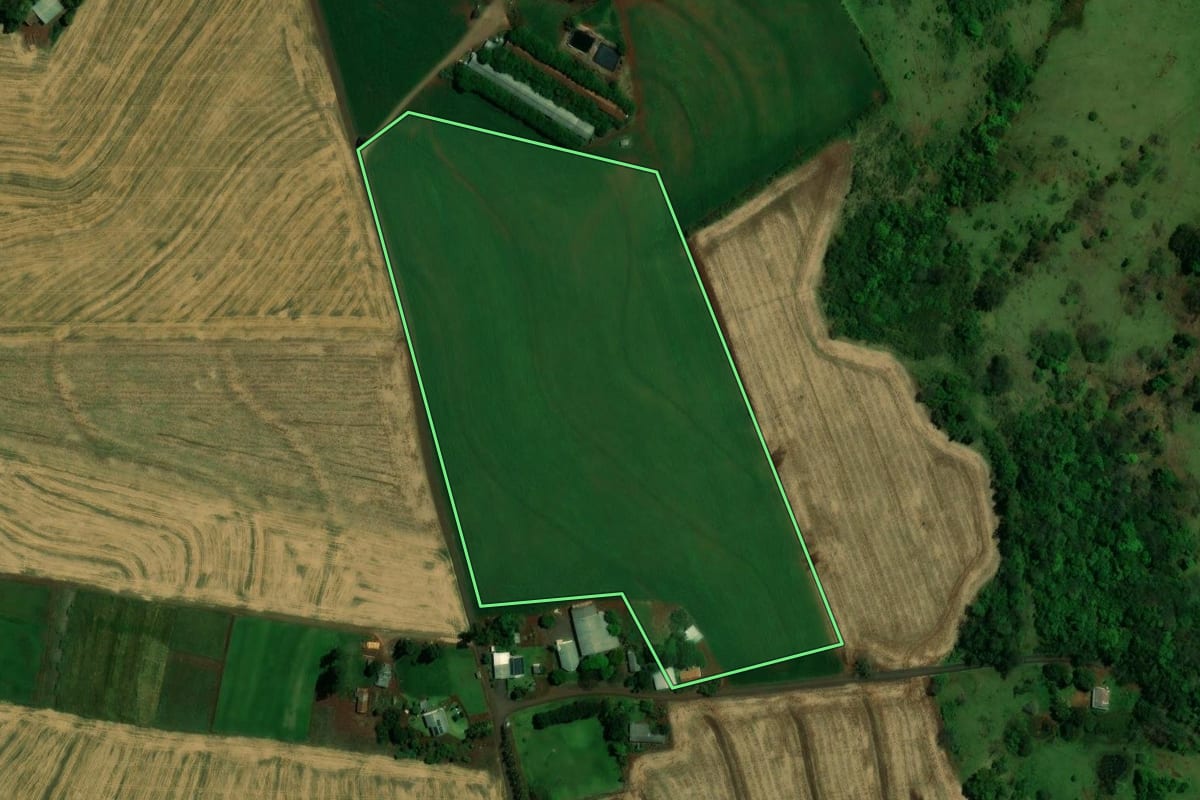 Imagem de satélite do imóvel rural em Matelândia (PR), com o contorno declarado no CAR desenhado por cima.