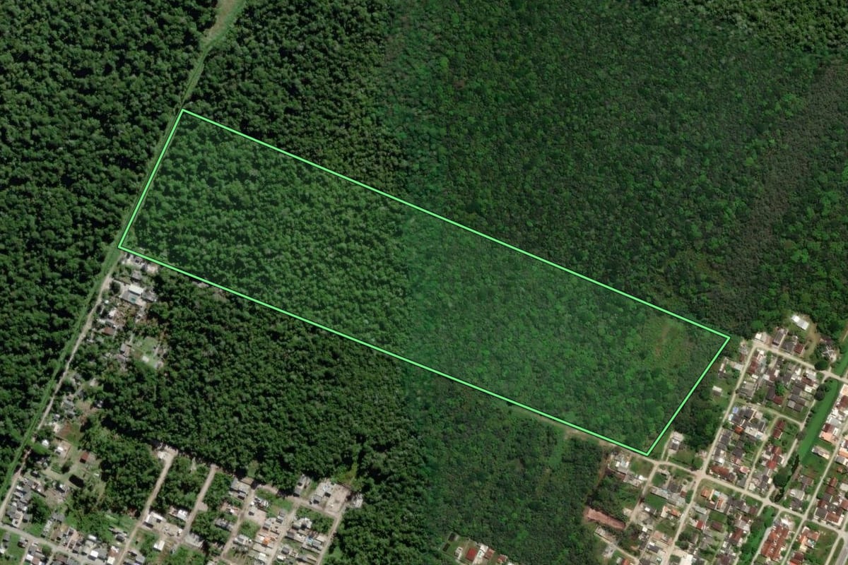Imagem de satélite do imóvel rural em Matinhos (PR), com o contorno declarado no CAR desenhado por cima.