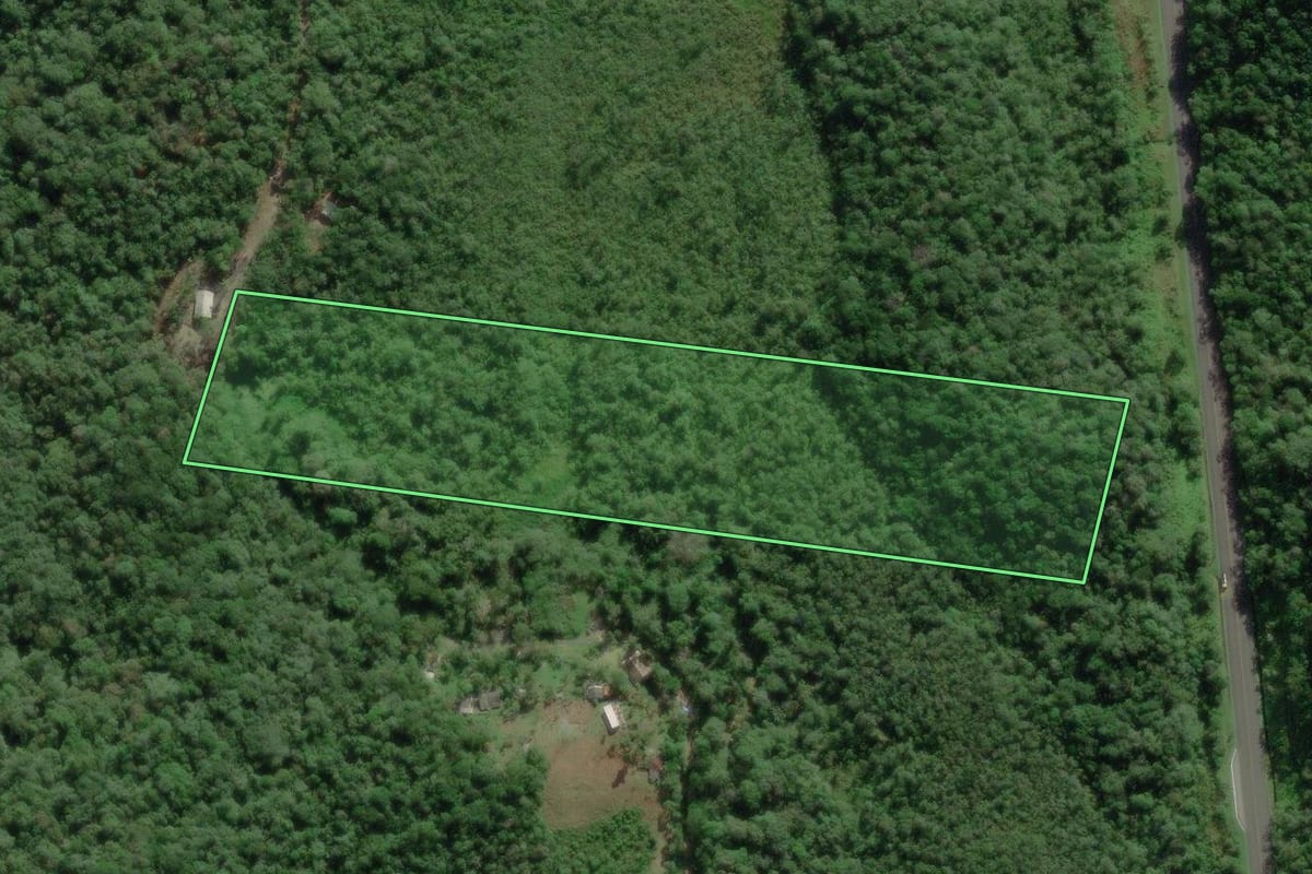 Imagem de satélite do imóvel rural em Matinhos (PR), com o contorno declarado no CAR desenhado por cima.