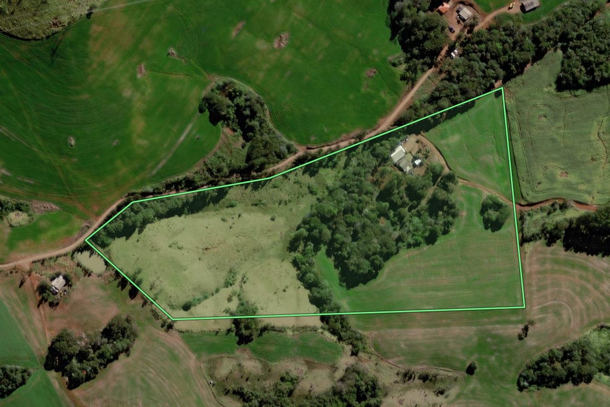 Imagem de satélite do imóvel rural em Mato Rico (PR), com o contorno declarado no CAR desenhado por cima.