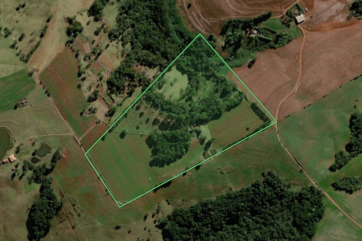 Imagem de satélite do imóvel rural em Mato Rico (PR), com o contorno declarado no CAR desenhado por cima.