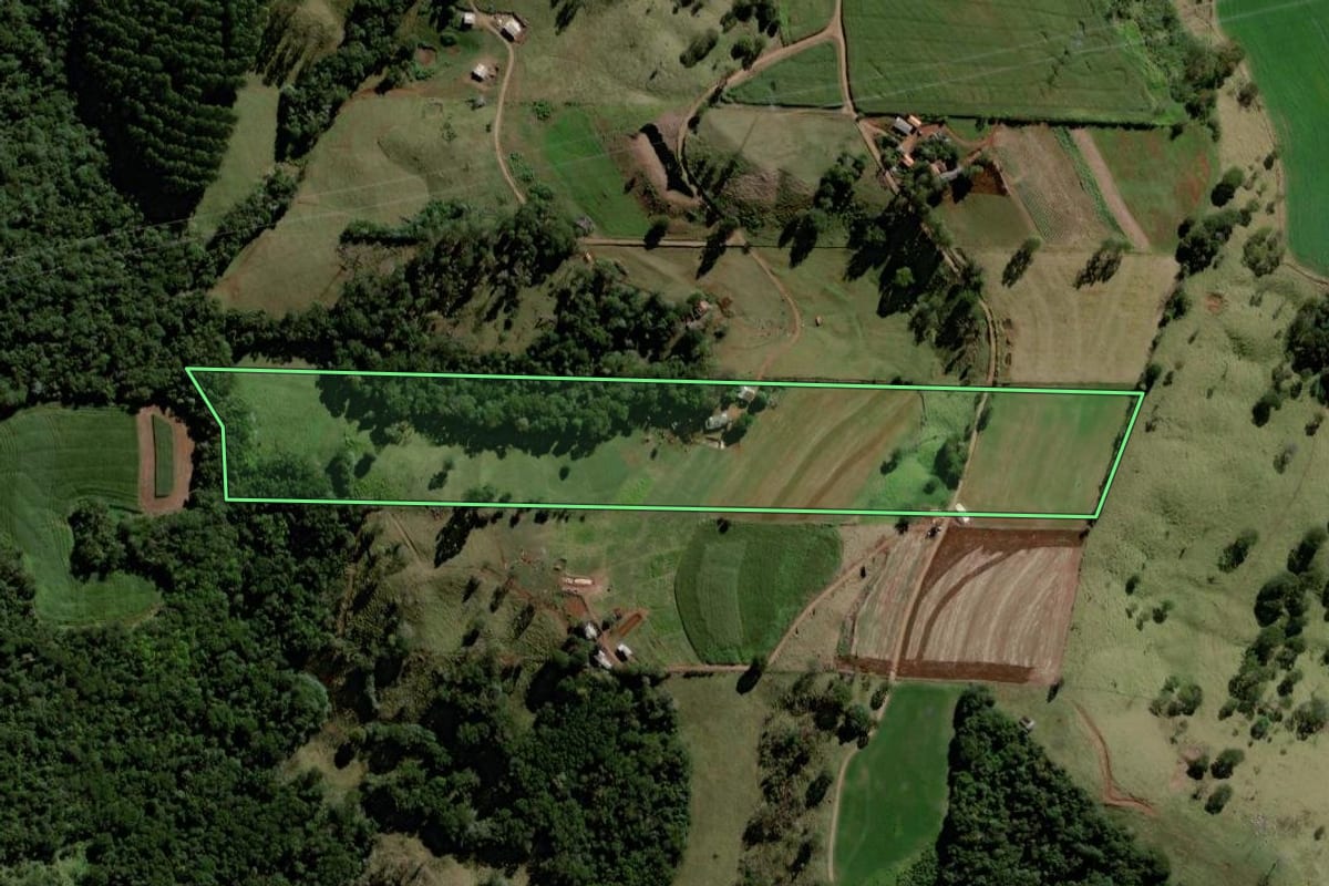 Imagem de satélite do imóvel rural em Mato Rico (PR), com o contorno declarado no CAR desenhado por cima.