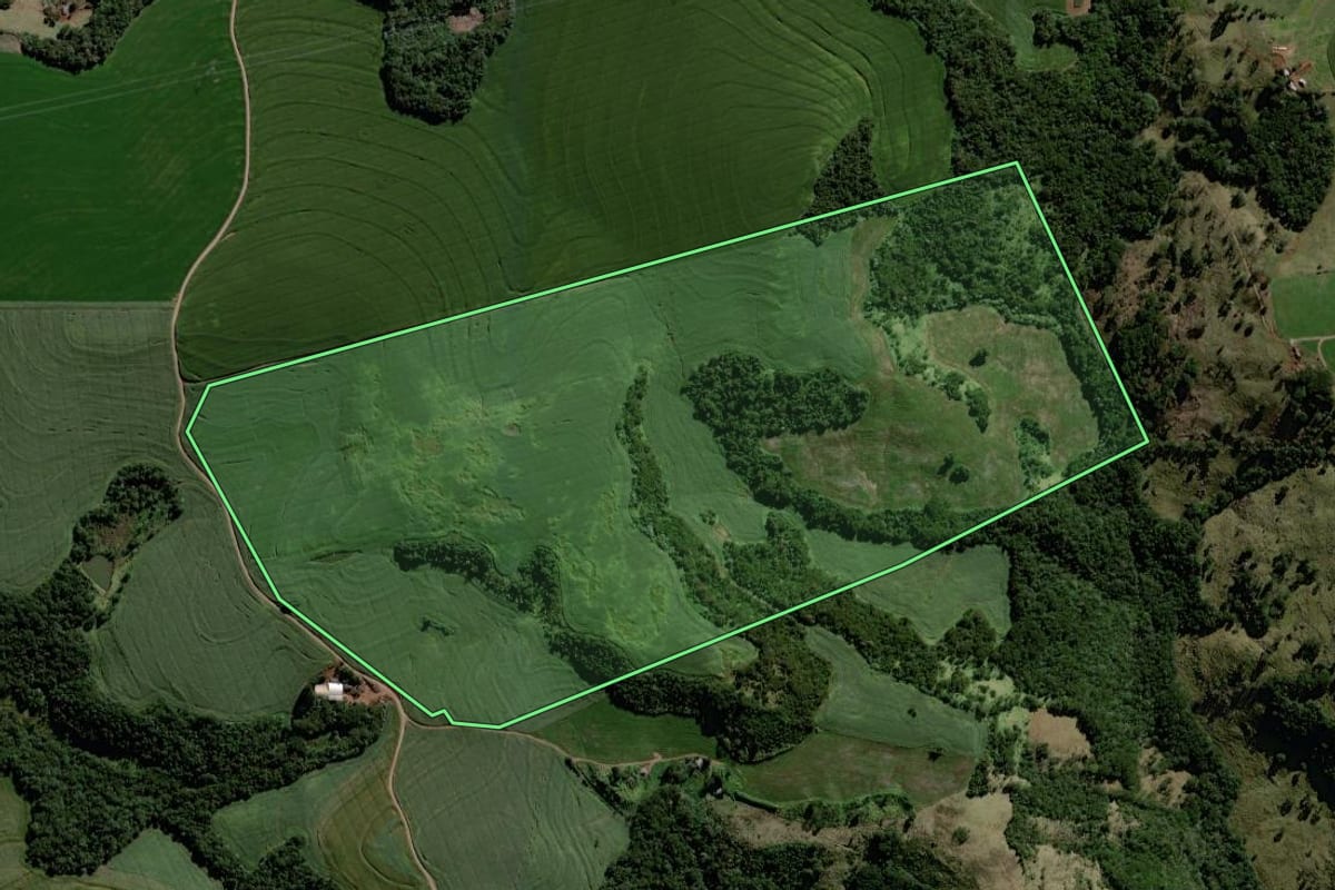 Imagem de satélite do imóvel rural em Mato Rico (PR), com o contorno declarado no CAR desenhado por cima.