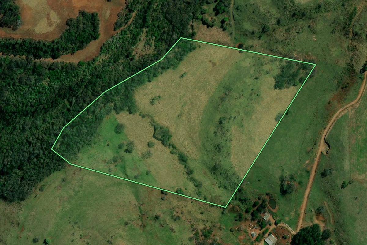 Imagem de satélite do imóvel rural em Mato Rico (PR), com o contorno declarado no CAR desenhado por cima.