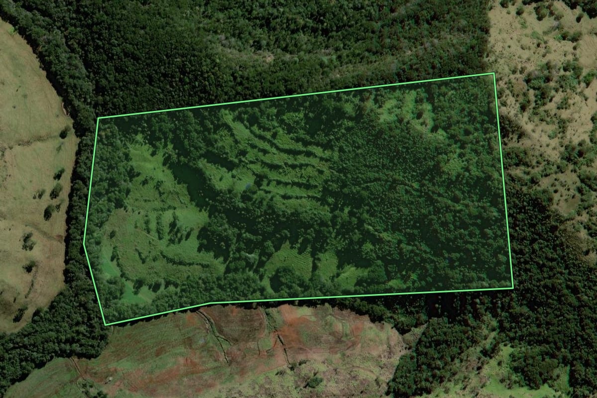 Imagem de satélite do imóvel rural em Mato Rico (PR), com o contorno declarado no CAR desenhado por cima.