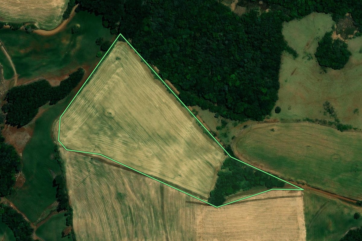 Imagem de satélite do imóvel rural em Mato Rico (PR), com o contorno declarado no CAR desenhado por cima.