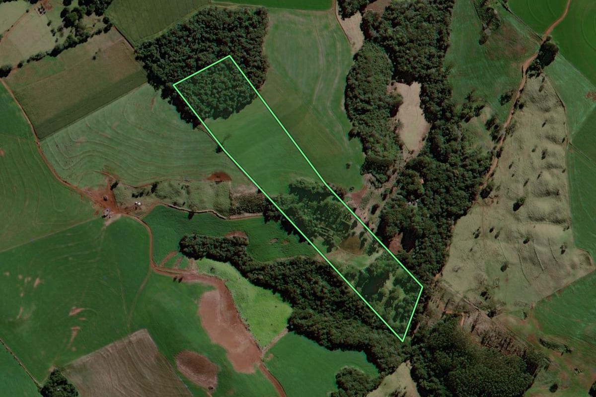 Imagem de satélite do imóvel rural em Mato Rico (PR), com o contorno declarado no CAR desenhado por cima.