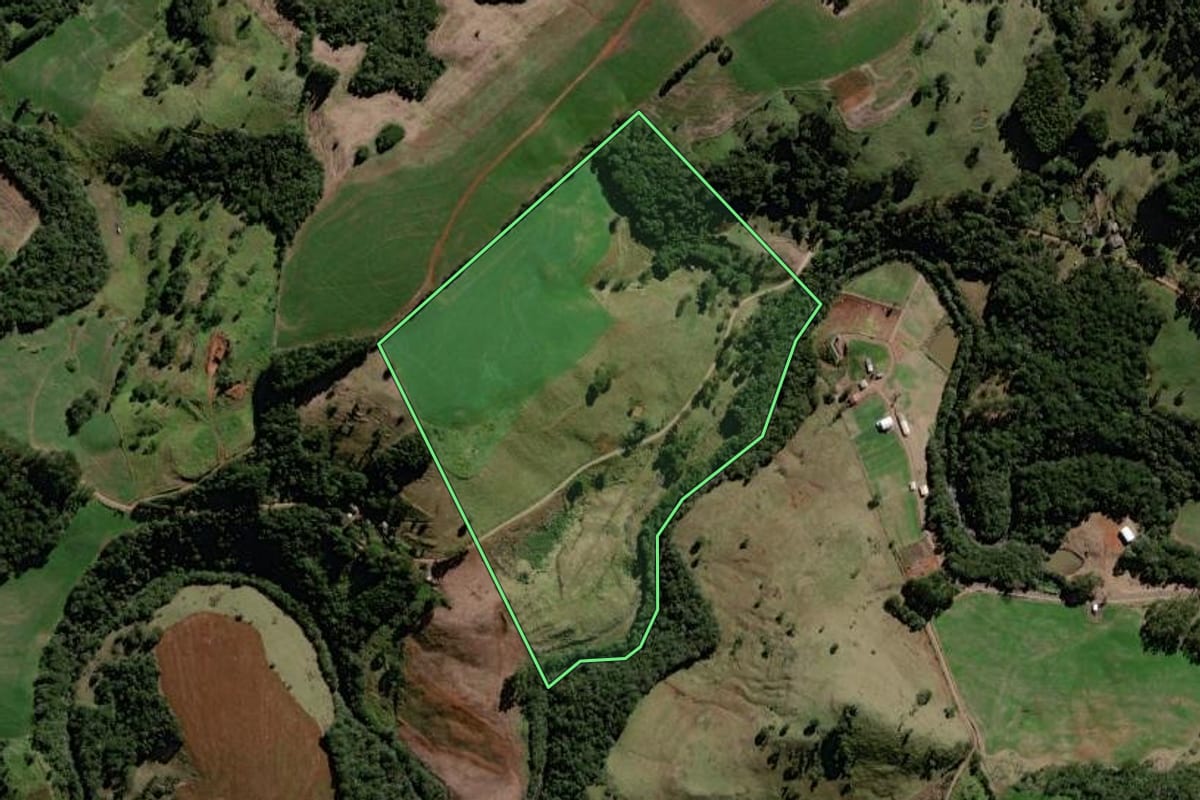 Imagem de satélite do imóvel rural em Mato Rico (PR), com o contorno declarado no CAR desenhado por cima.
