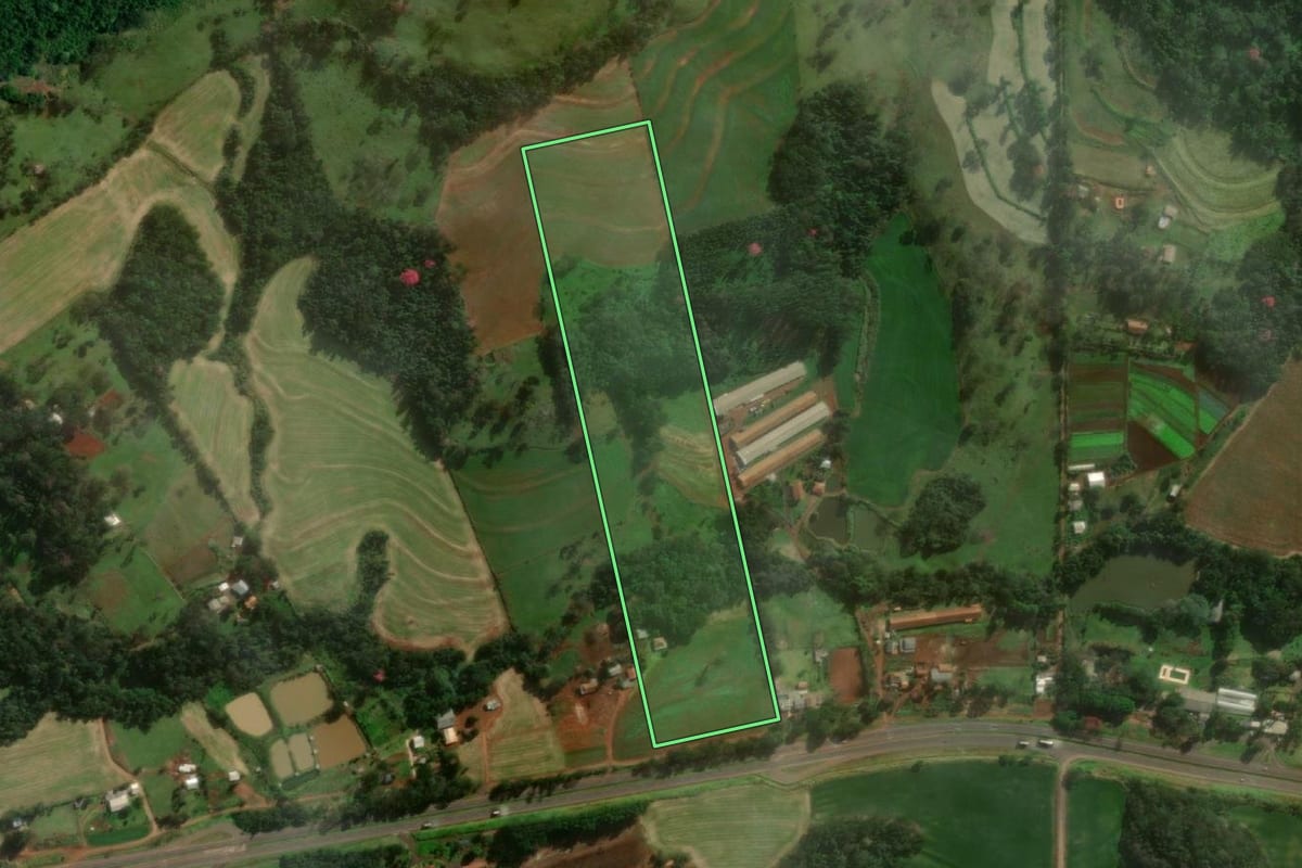 Imagem de satélite do imóvel rural em Medianeira (PR), com o contorno declarado no CAR desenhado por cima.