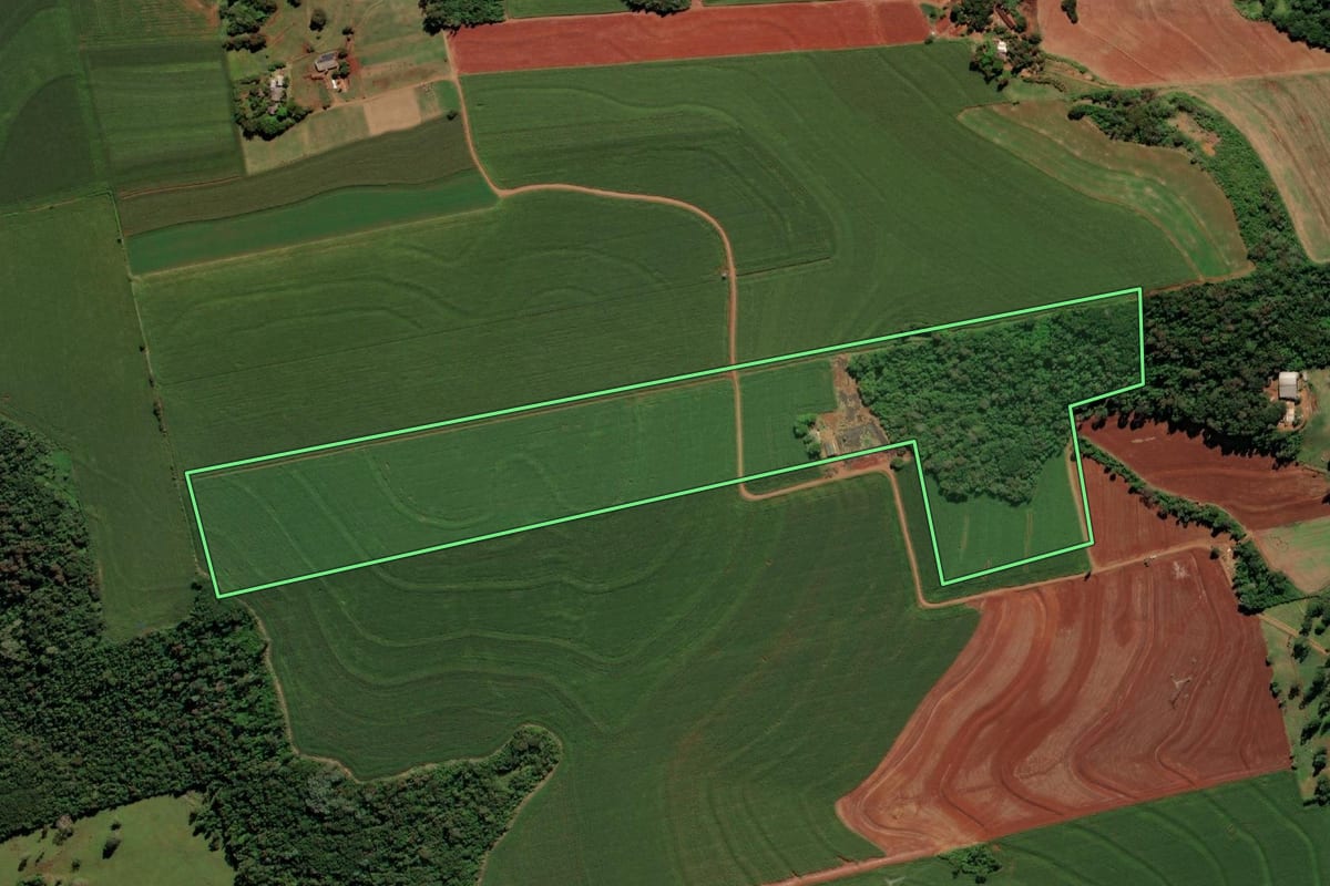 Imagem de satélite do imóvel rural em Medianeira (PR), com o contorno declarado no CAR desenhado por cima.