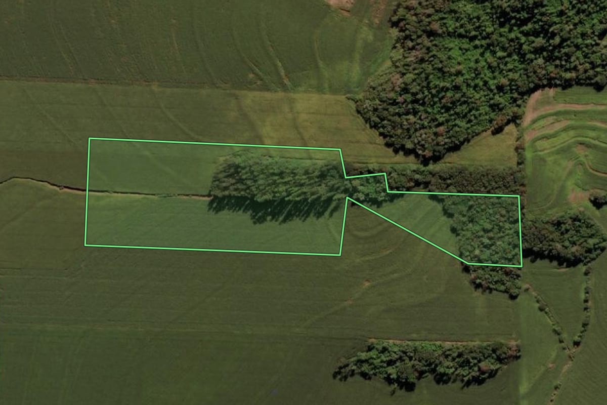 Imagem de satélite do imóvel rural em Medianeira (PR), com o contorno declarado no CAR desenhado por cima.