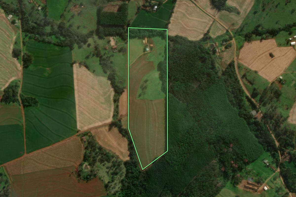 Imagem de satélite do imóvel rural em Medianeira (PR), com o contorno declarado no CAR desenhado por cima.